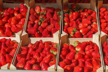 strawberries at the farmer's market