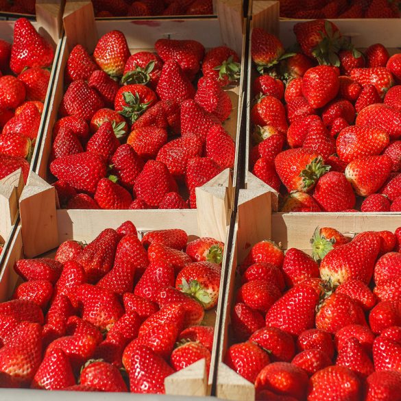 strawberries at the farmer's market