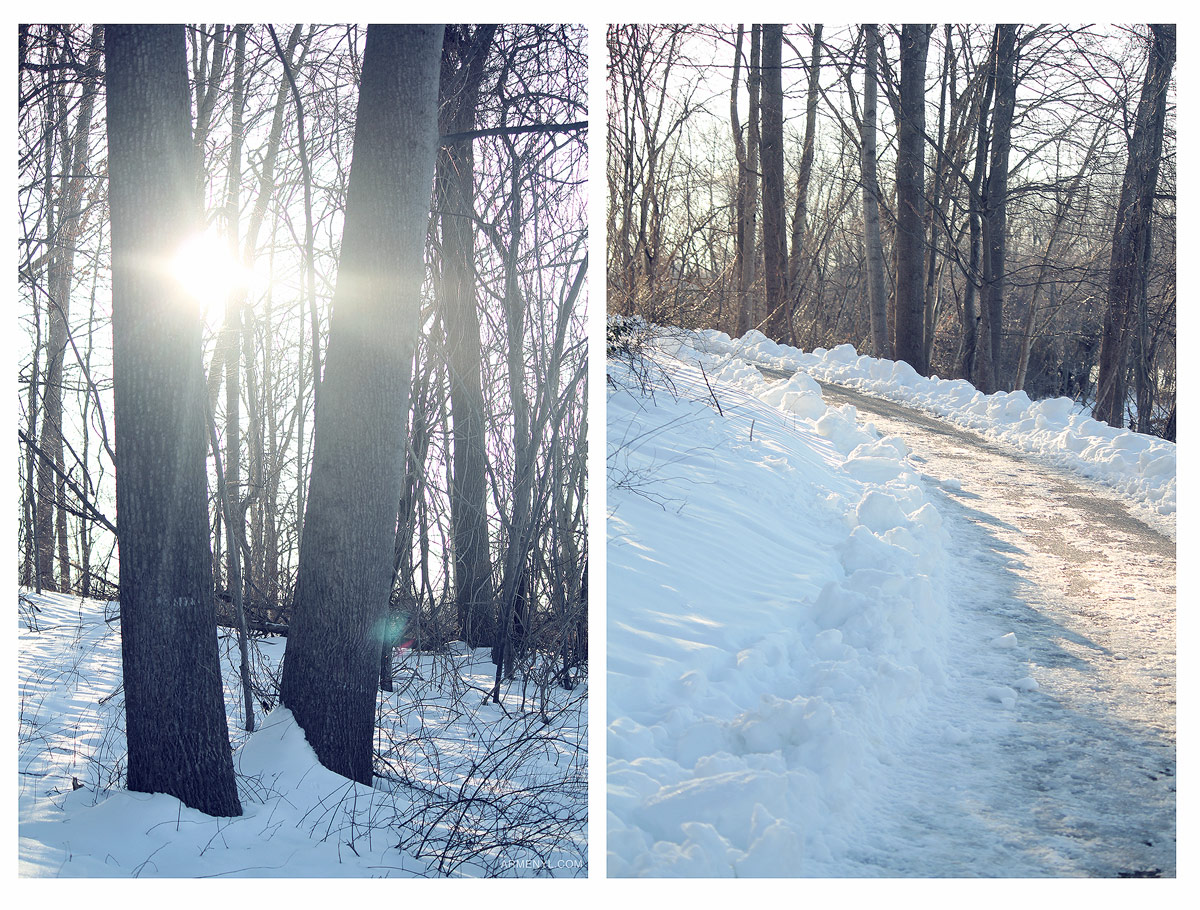 Frozen-Lake-Nature-by-Armenyl.comat  Centennial Park Ellicott city