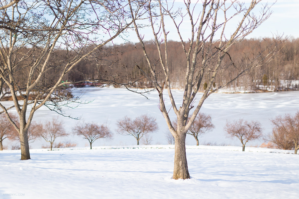 Frozen-Lake-Nature-by-Armenyl.comat  Centennial Park Ellicott city