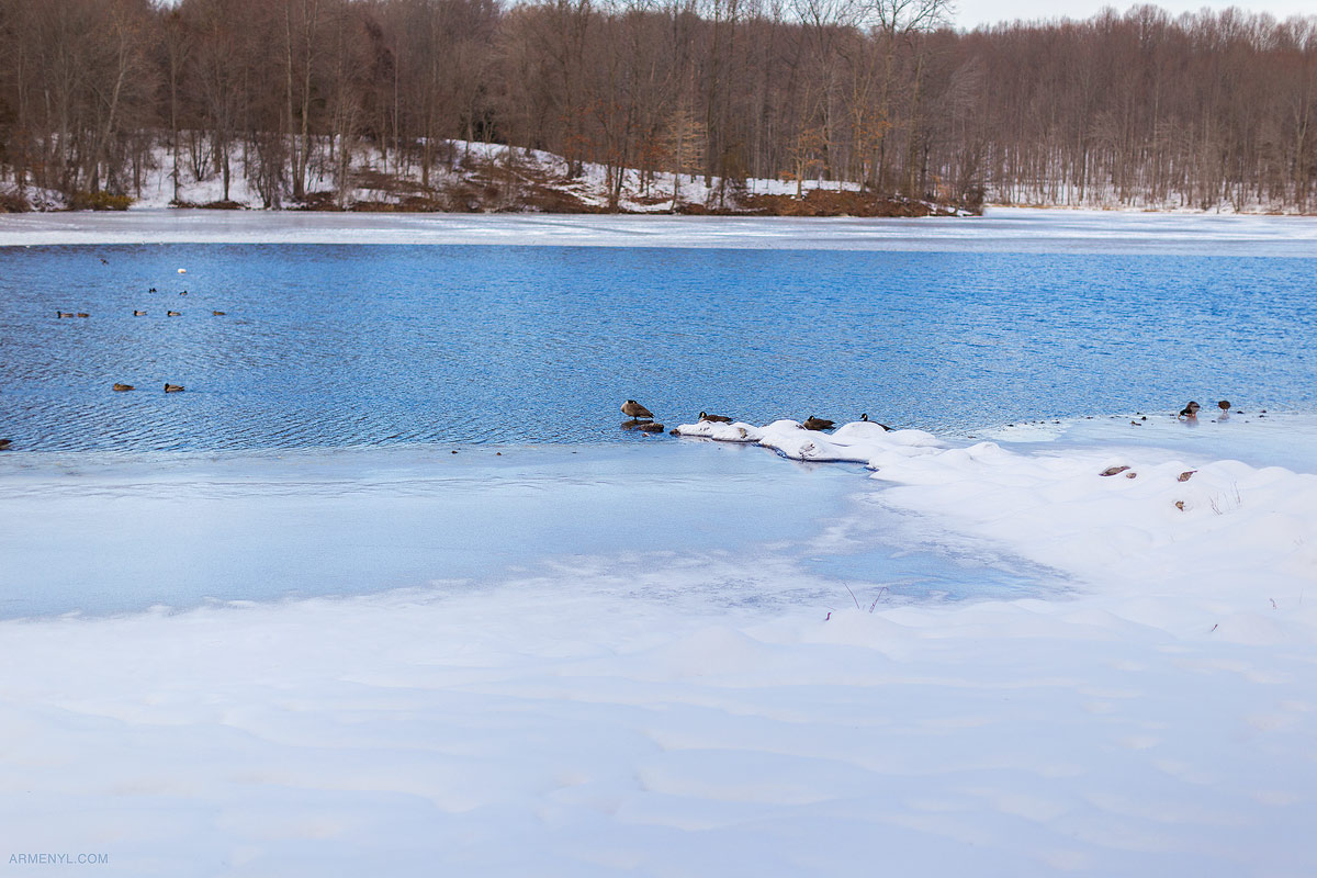 Frozen-Lake-Nature-by-Armenyl.comat  Centennial Park Ellicott city