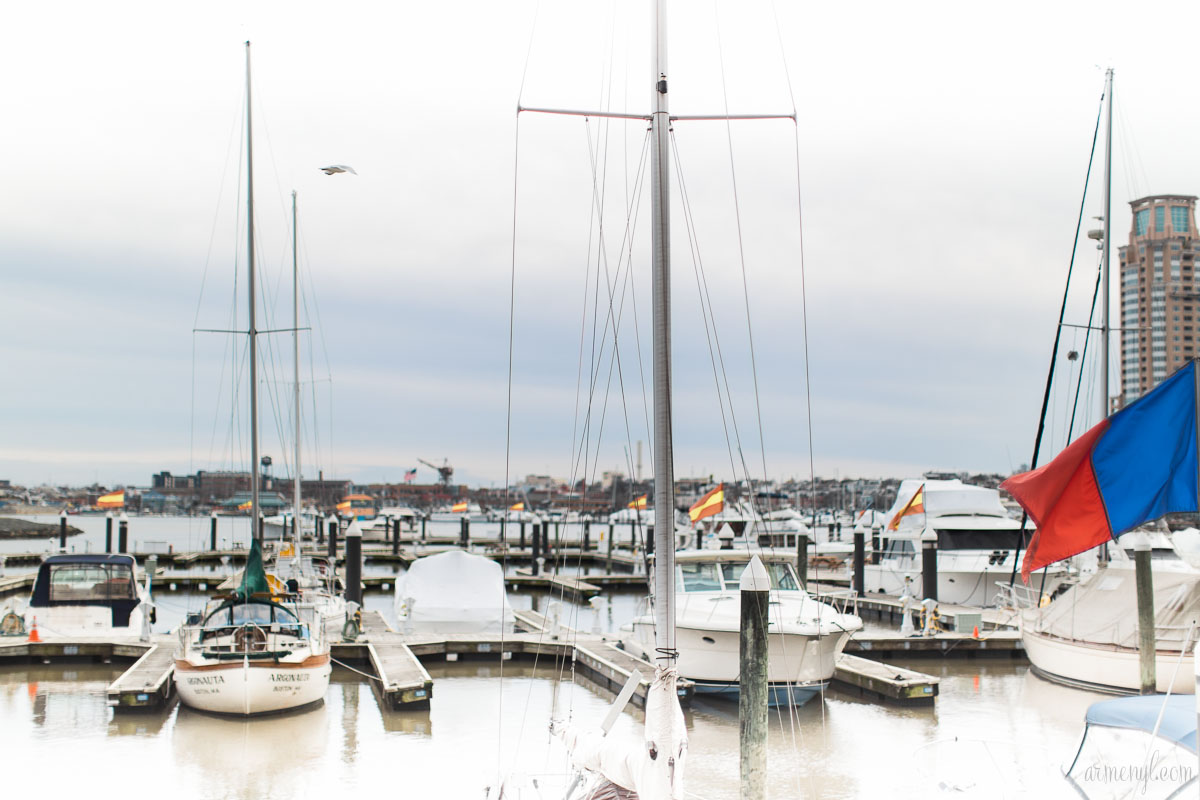 Boats and Birds Downtown Baltimore's inner harbor city Maryland USA photographed by Armenyl.com