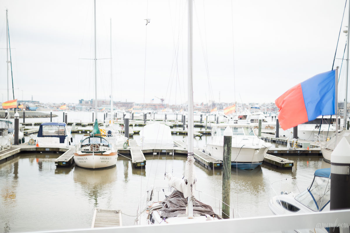 Boats and Birds Downtown Baltimore's inner harbor city Maryland USA photographed by Armenyl.com