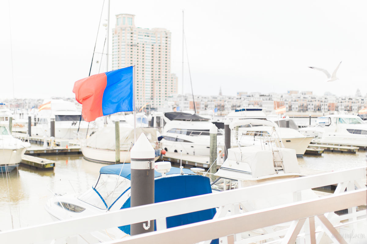 Boats and Birds Downtown Baltimore's inner harbor city Maryland USA photographed by Armenyl.com