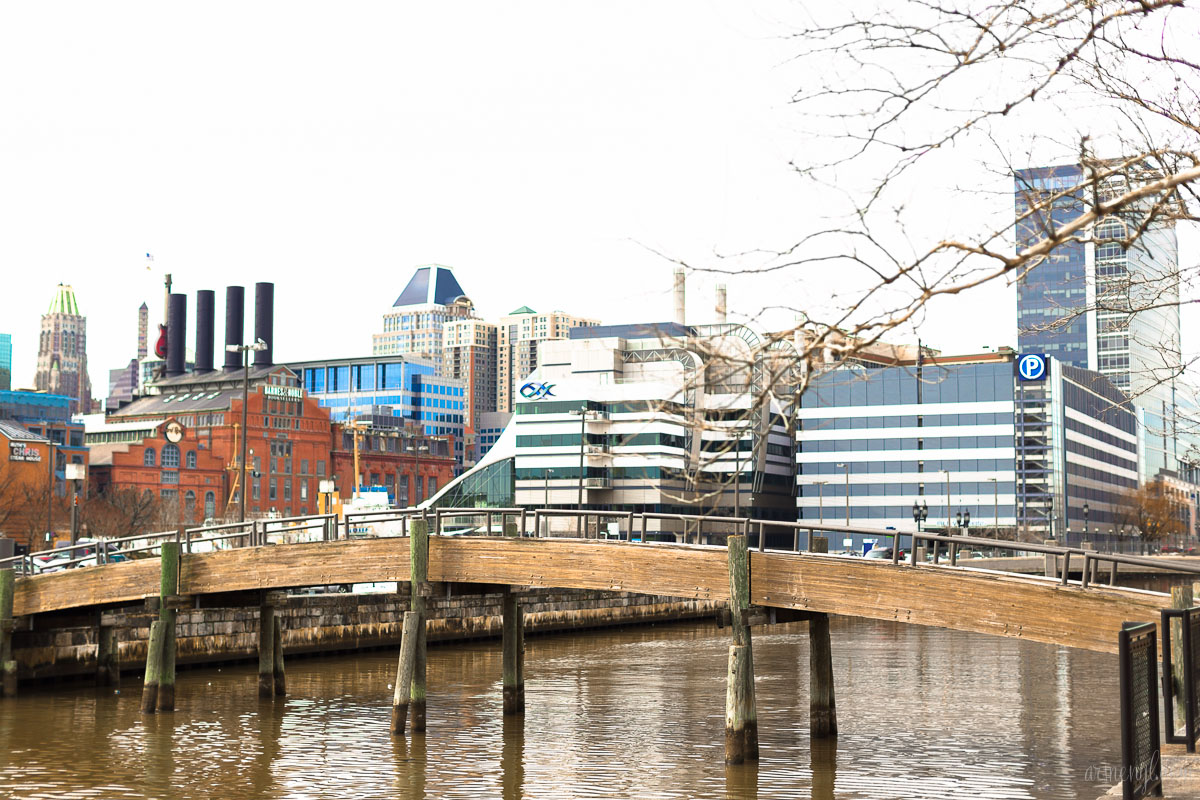 Boats and Birds Downtown Baltimore's inner harbor city Maryland USA photographed by Armenyl.com