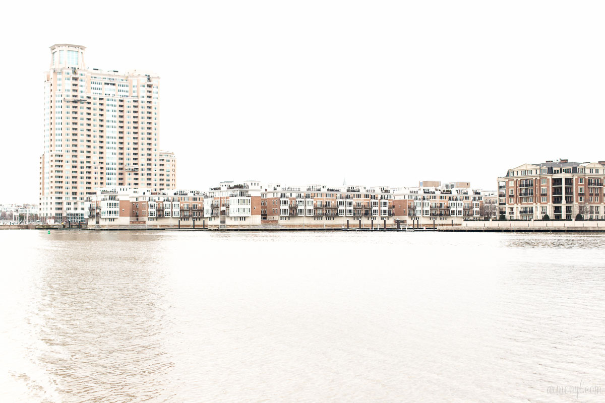 Boats and Birds Downtown Baltimore's inner harbor city Maryland USA photographed by Armenyl.com