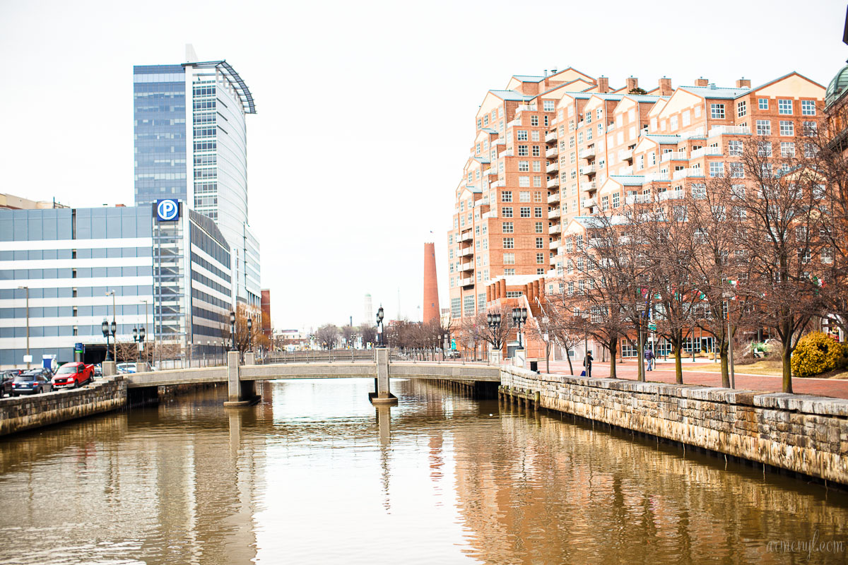 Boats and Birds Downtown Baltimore's inner harbor city Maryland USA photographed by Armenyl.com