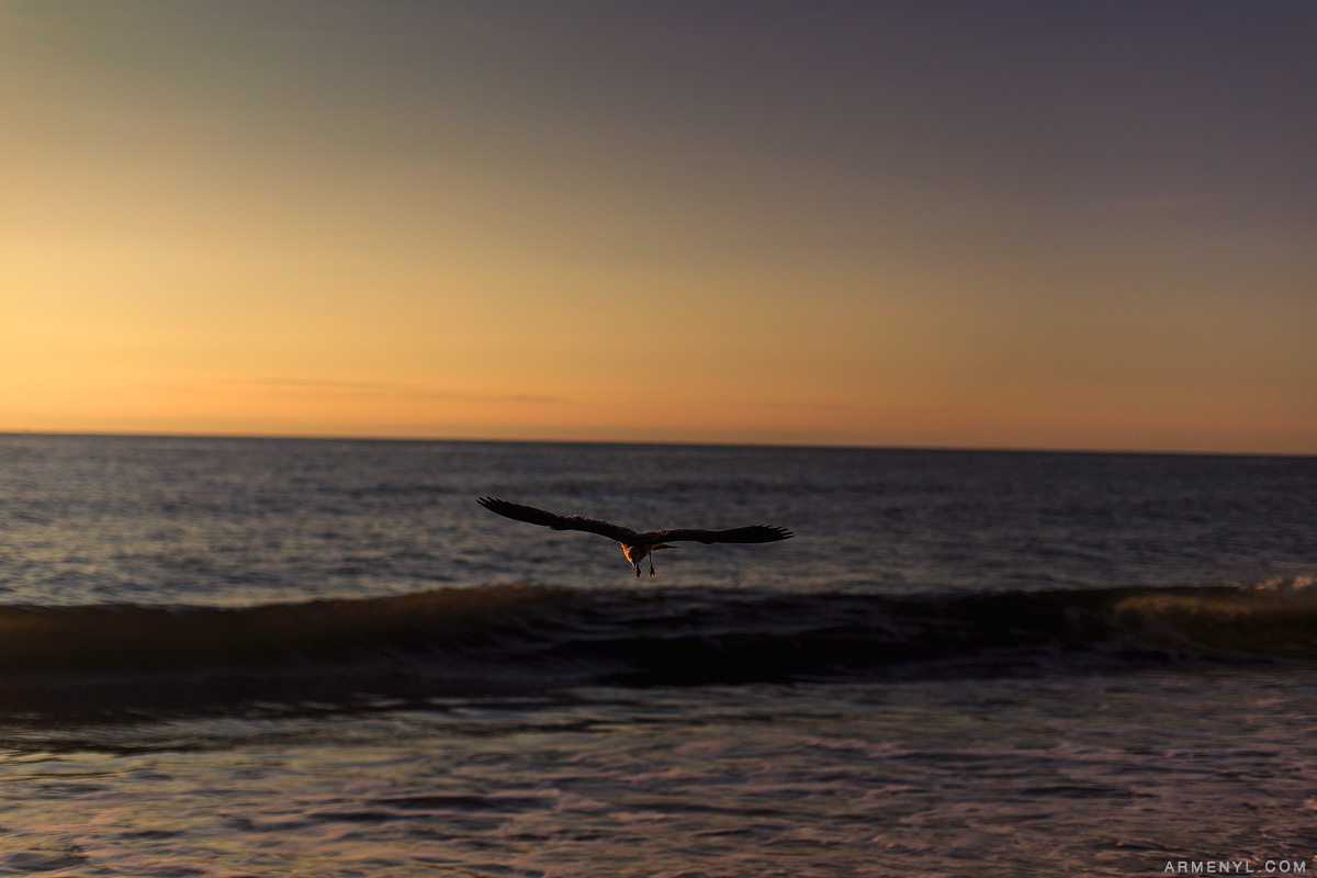 Sunrise at Ocean City Beach, Beach front, beautiful light photography by Armenyl.com