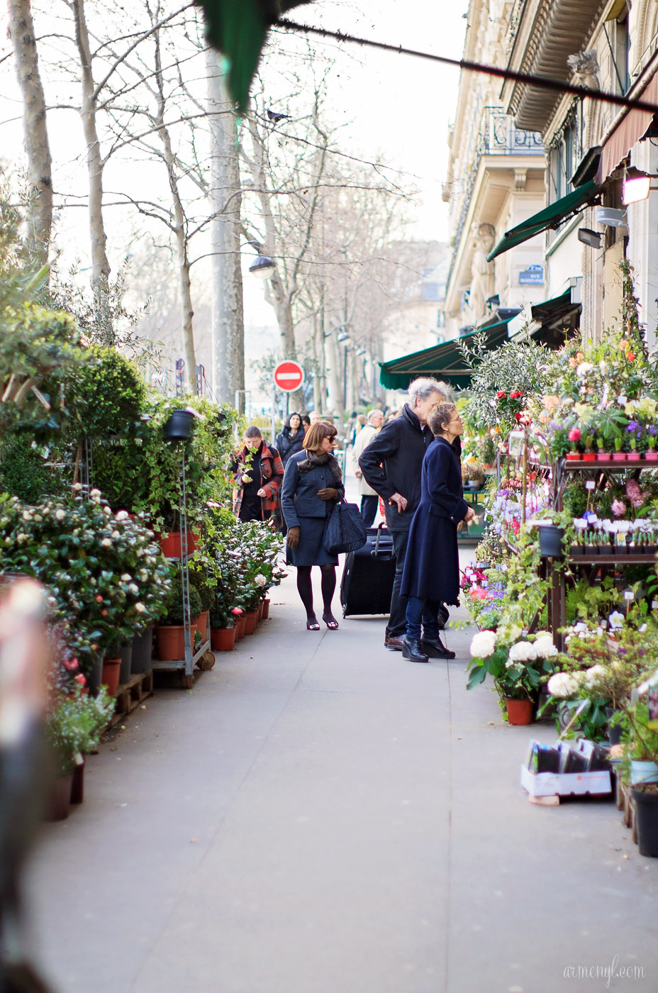 Best Flower shops in Paris photographed by Lifestyle and fashion Blogger Armenyl.com