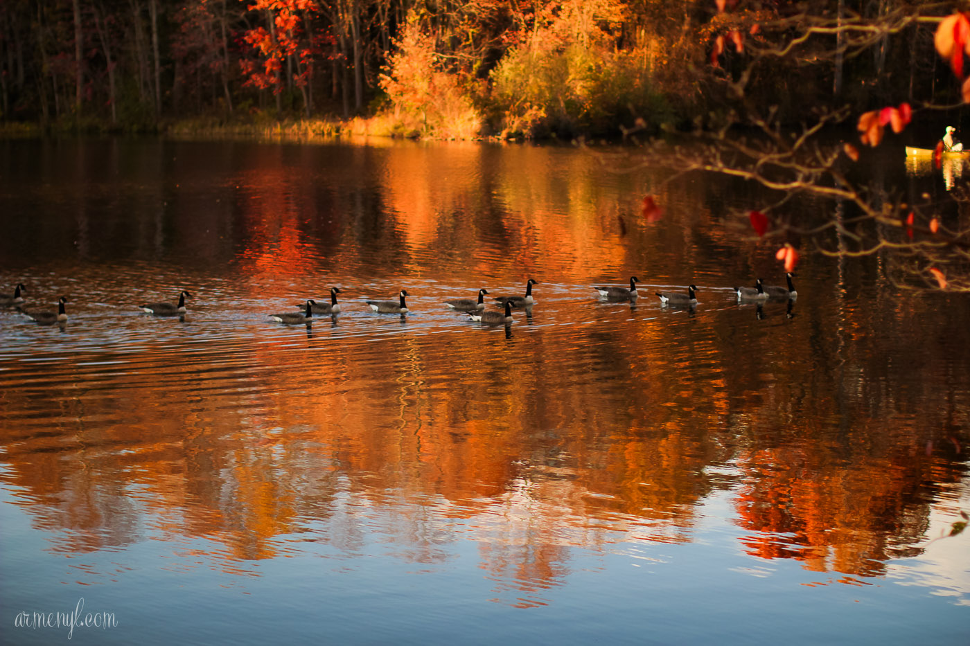 Fall in Maryland, Centennial Park Ellicott City MD photographed by Travel Photographer Armenyl.com