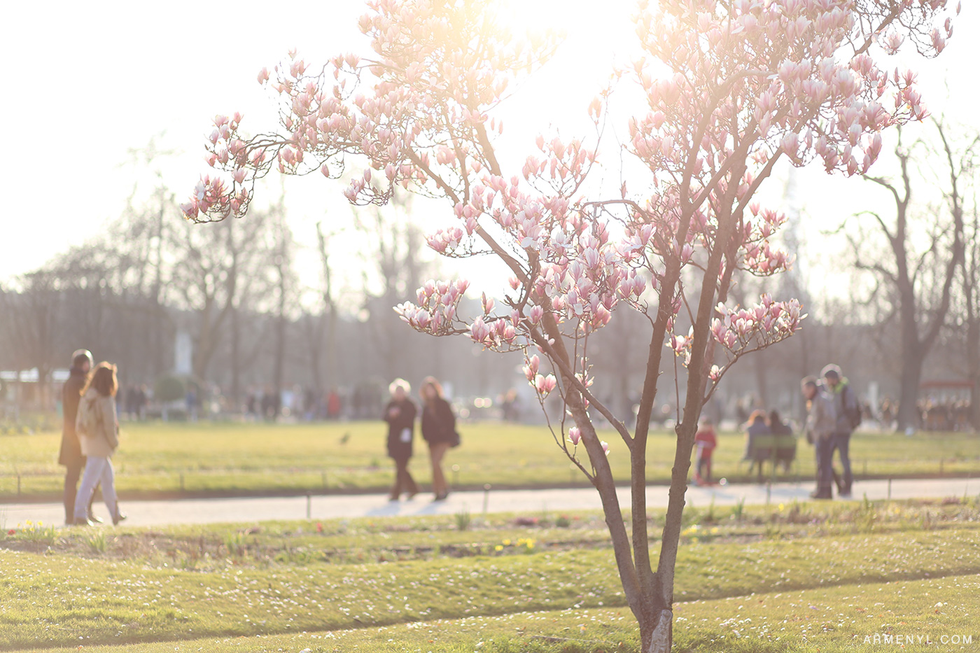 Jardin des Tuileries photo by Armenyl.com