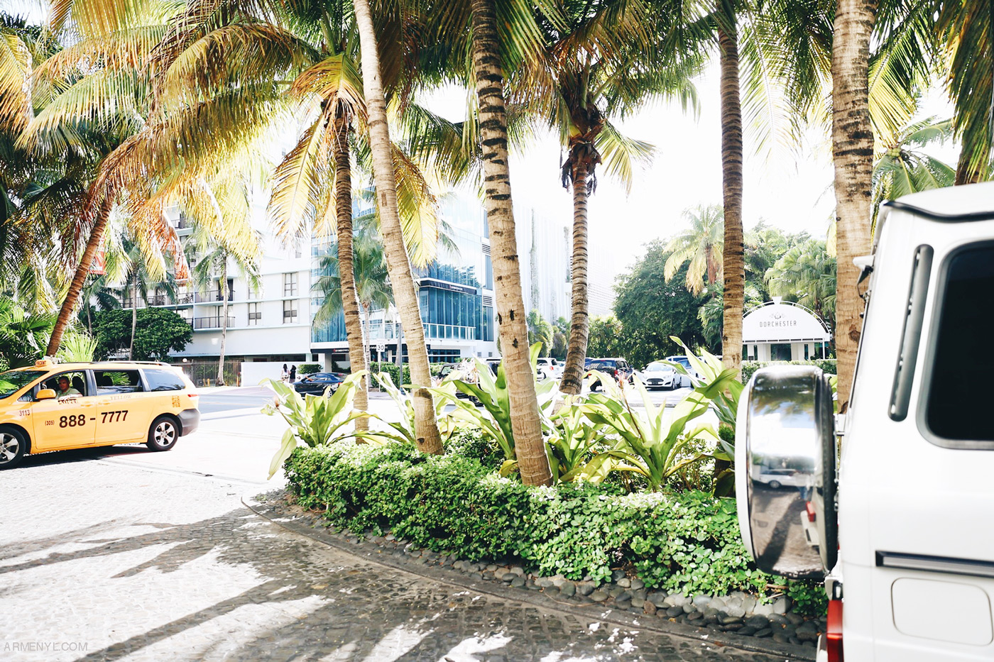 Palm Trees in Miami Beach South Beach Florida by Travel photographer Armenyl.com