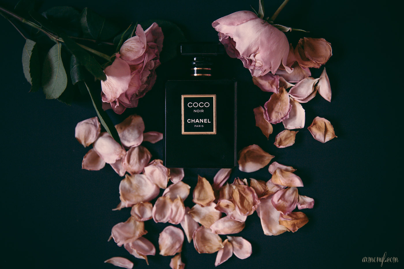 COCO NOIR BY CHANEL armenyl-2016-holiday-gift-ideas-for-women-photo-by-armenyl-com