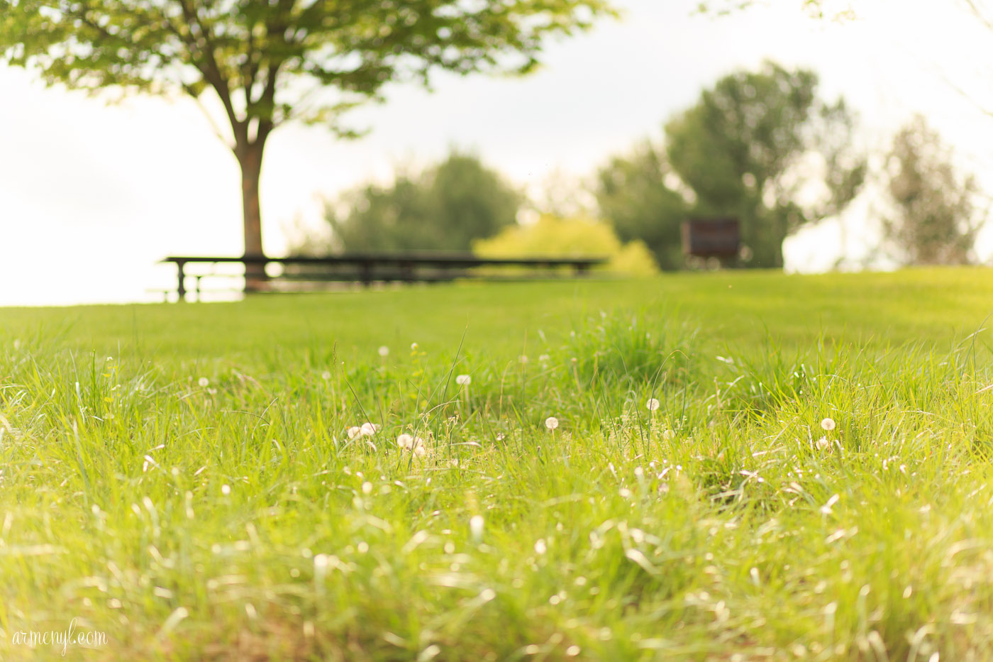 Centennial Park in Elicott City, Maryland photography by Armenyl