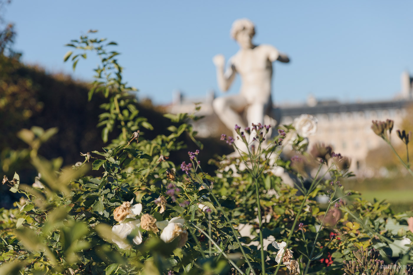 Jardin de jardin du Palais-Royal Paris Photography by Armenyl, 2017 Royal