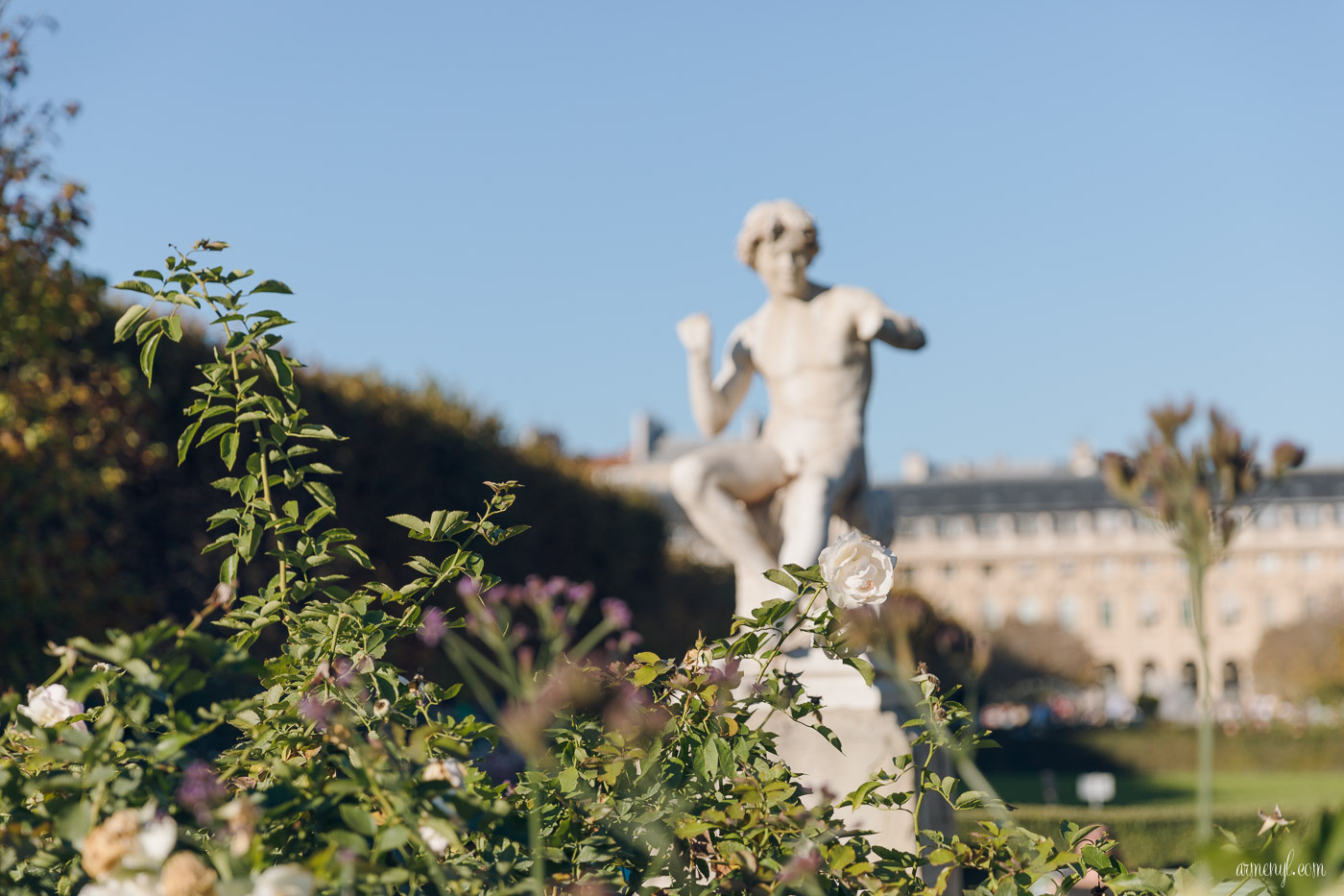 jardin du Palais-Royal Paris Photography by Armenyl, 2017