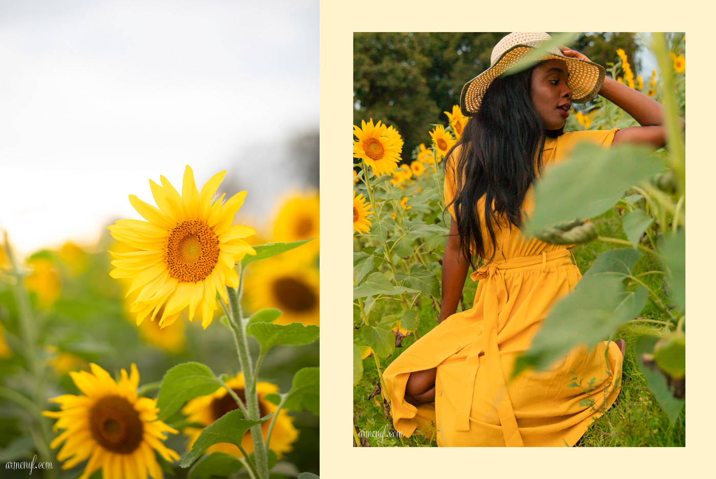 A travel through fashion Self Portrait series by Armenyl featuring the sunflower fields in Jarretsville Maryland. 