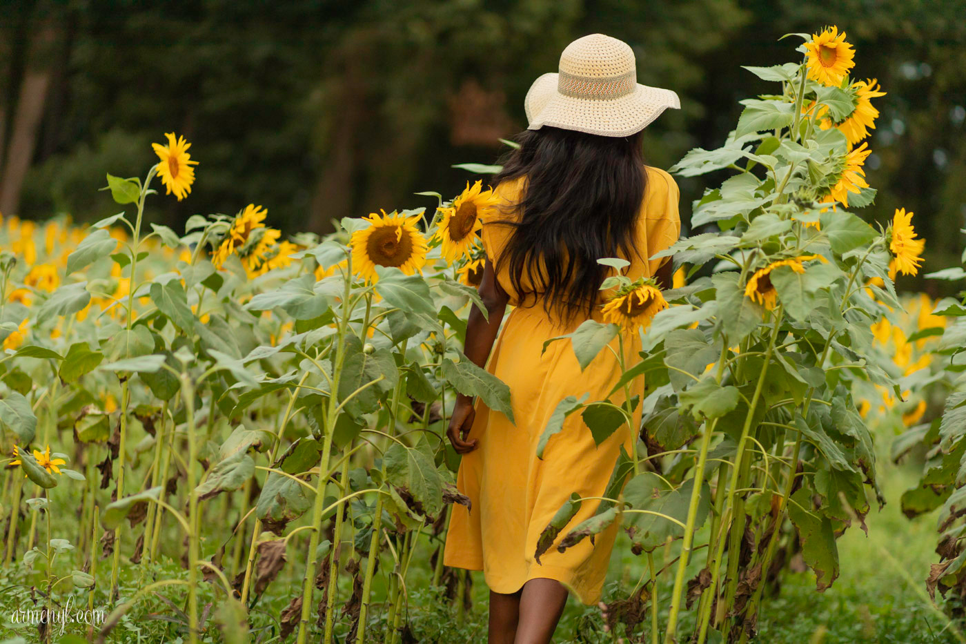 A fashion through travel Self Portrait series by Armenyl featuring the sunflower fields in Jarrettsville Maryland