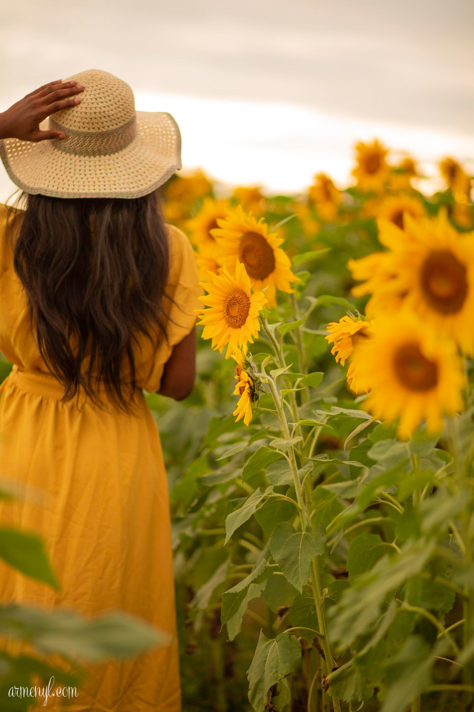 A travel through fashion Self Portrait series by Armenyl featuring the sunflower fields in Jarretsville Maryland.